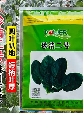 珍浩二号进口趴地菠菜普威大圆叶黑亮短柄抗霜霉病菠菜种子250克