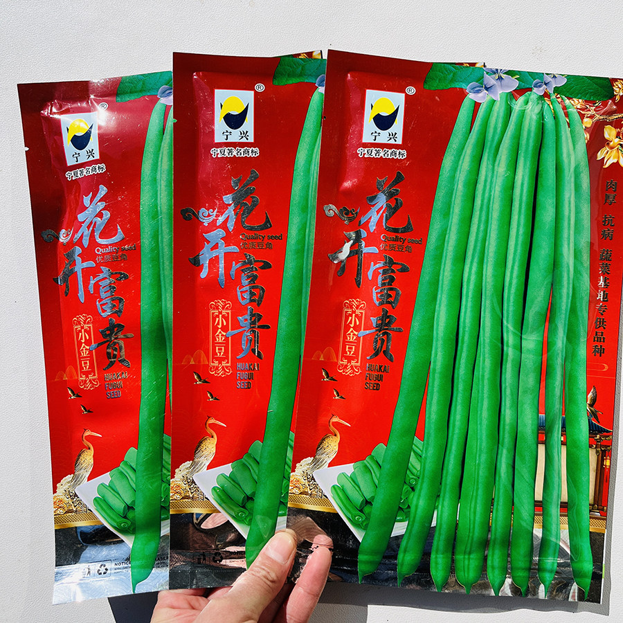 花开富贵小金豆种子种籽早春无筋四季豆芸豆架豆王种子绿荚圆棍型