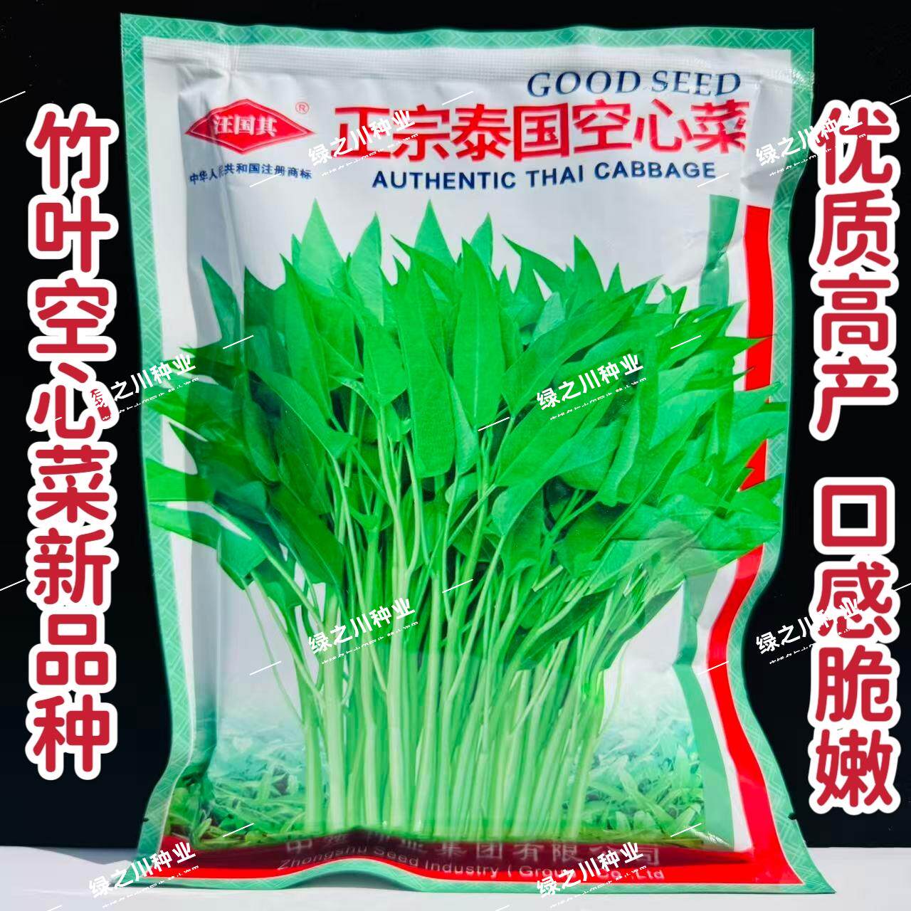 正宗泰国空心菜种子优质高产竹叶空心菜种籽口感脆嫩春夏秋蔬菜籽