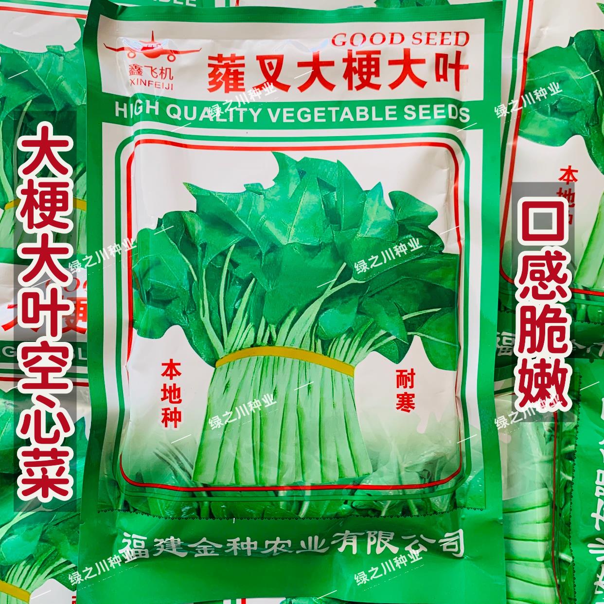 蕹叉大梗大叶空心菜种子脆嫩高产耐低温青梗空心菜种籽蕹菜种子