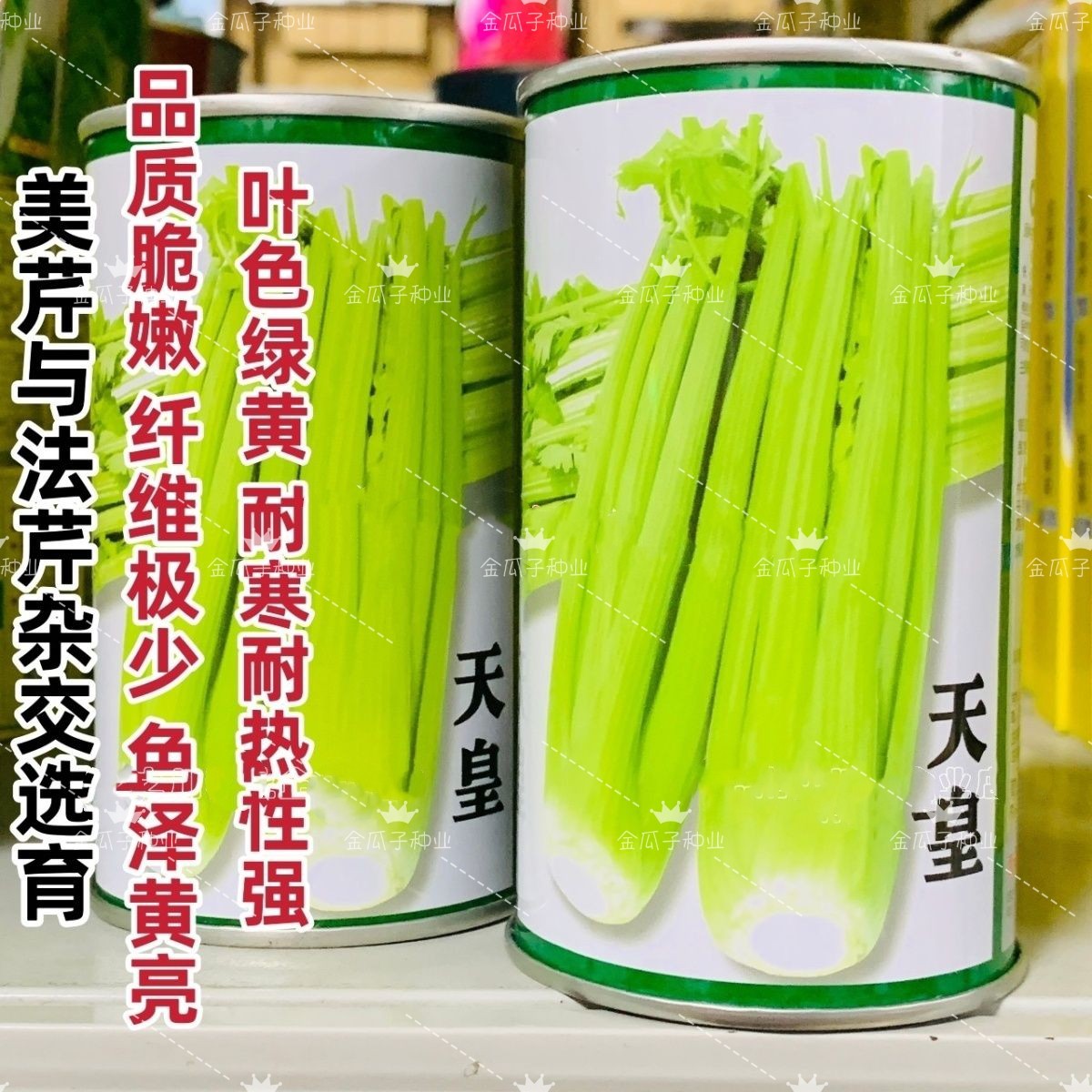 天皇西芹种子美芹法芹杂交脆嫩黄亮芹菜种籽四季耐寒耐热大西芹籽