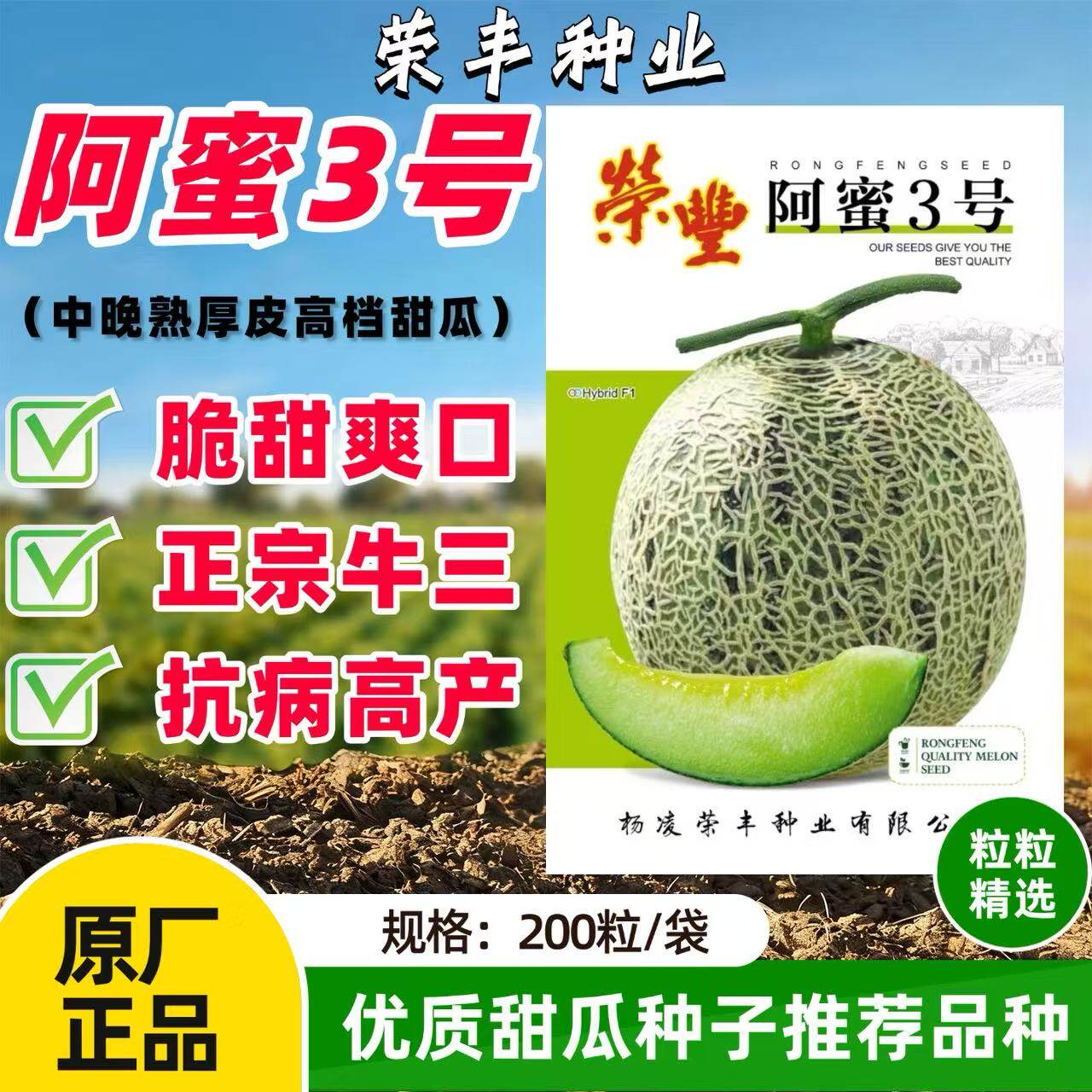 高端品种阿蜜3号网纹哈密瓜种子超甜水果牛三甜瓜籽基地专用种籽