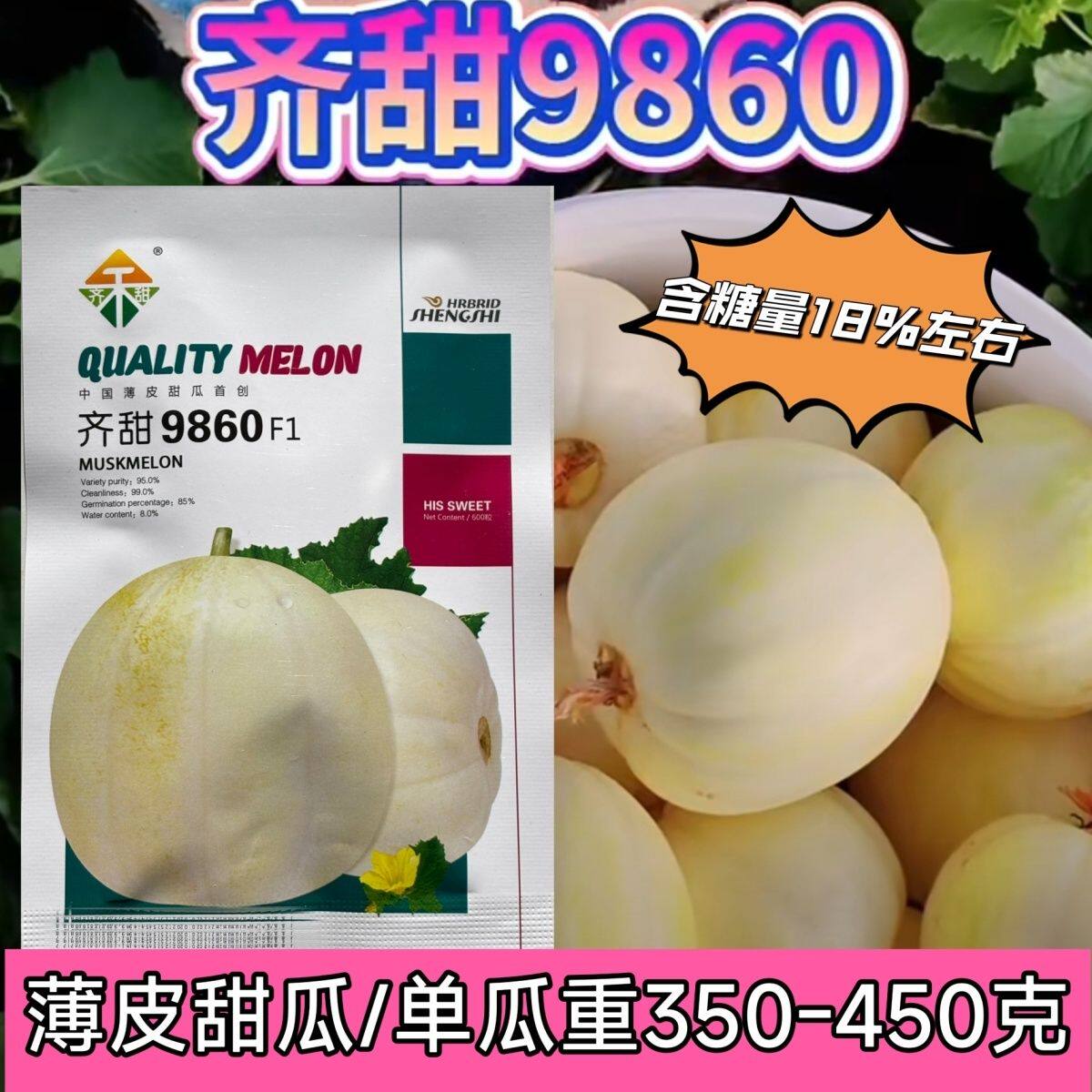 甜瓜种子齐甜9860甜瓜种子薄皮甜瓜淡黄色易坐瓜脆甜好吃耐运输