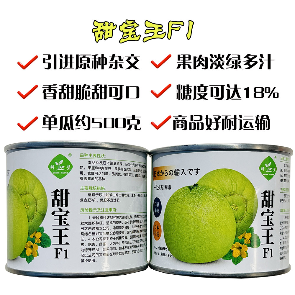 科望甜宝王甜瓜种子早熟高产抗病不裂果香瓜种籽农家春秋宝甜宝种