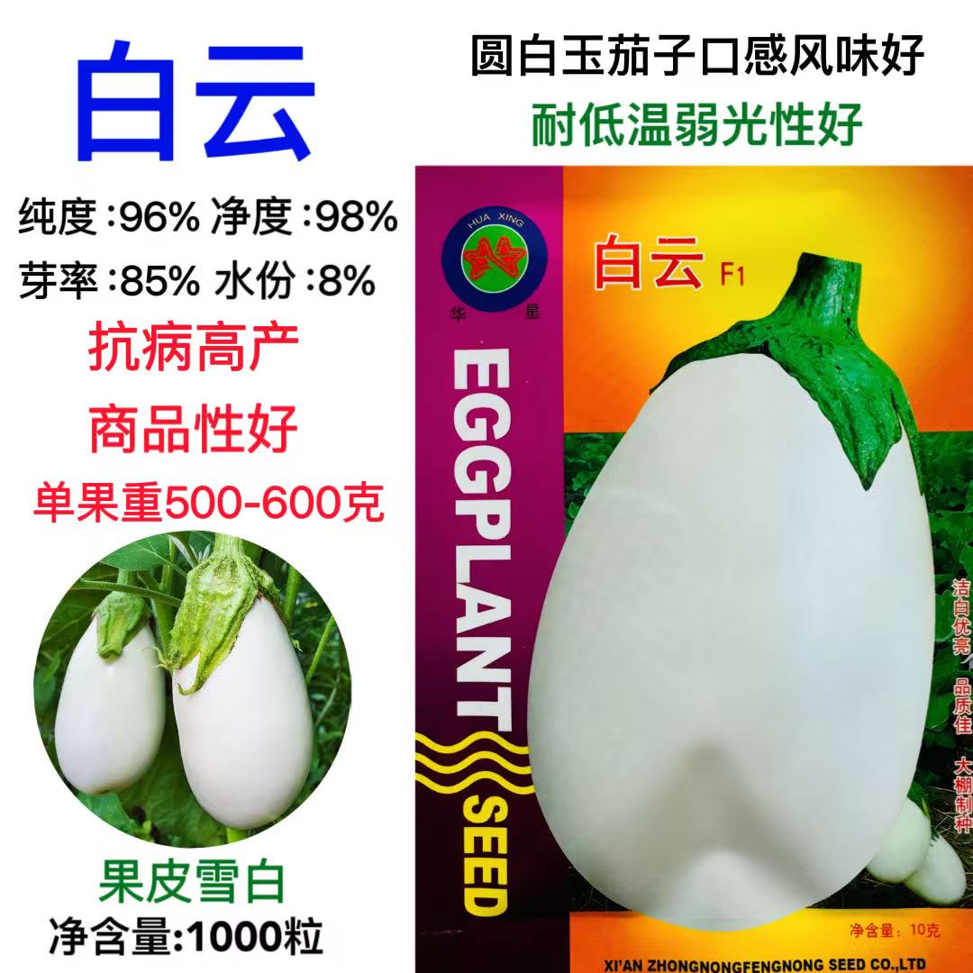白云茄子种子高产抗病耐低温白茄子种籽农家大田春秋季播商品性好