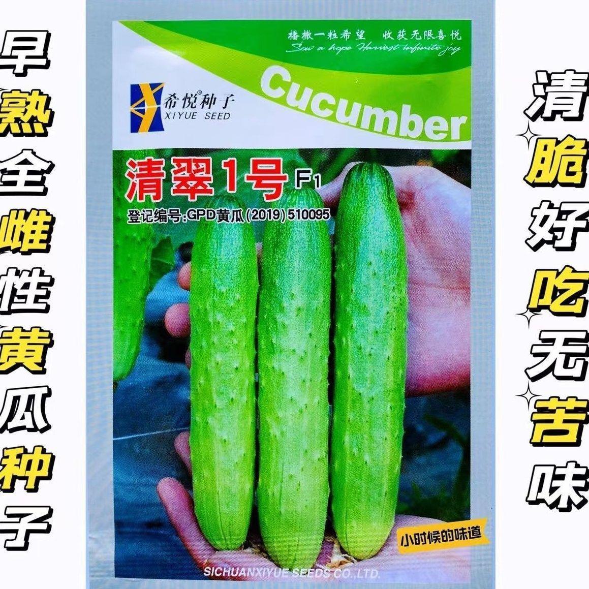 清翠1号全雌水果黄瓜种子高产早熟甜脆生吃小青瓜种籽春秋季种植