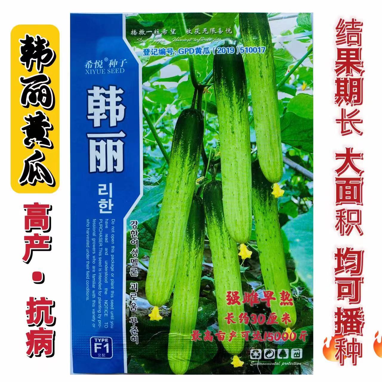 韩丽水果小黄瓜种早熟好吃脆甜