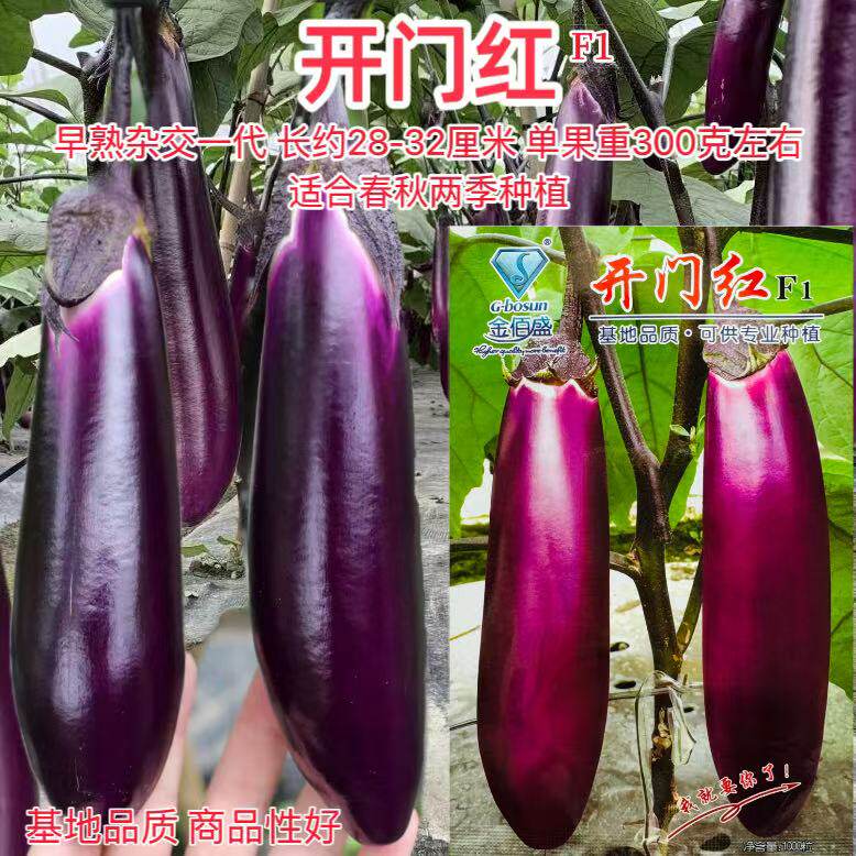 开门红茄子种子早熟紫红长茄种籽皮薄籽少春秋播瓜果蔬菜籽