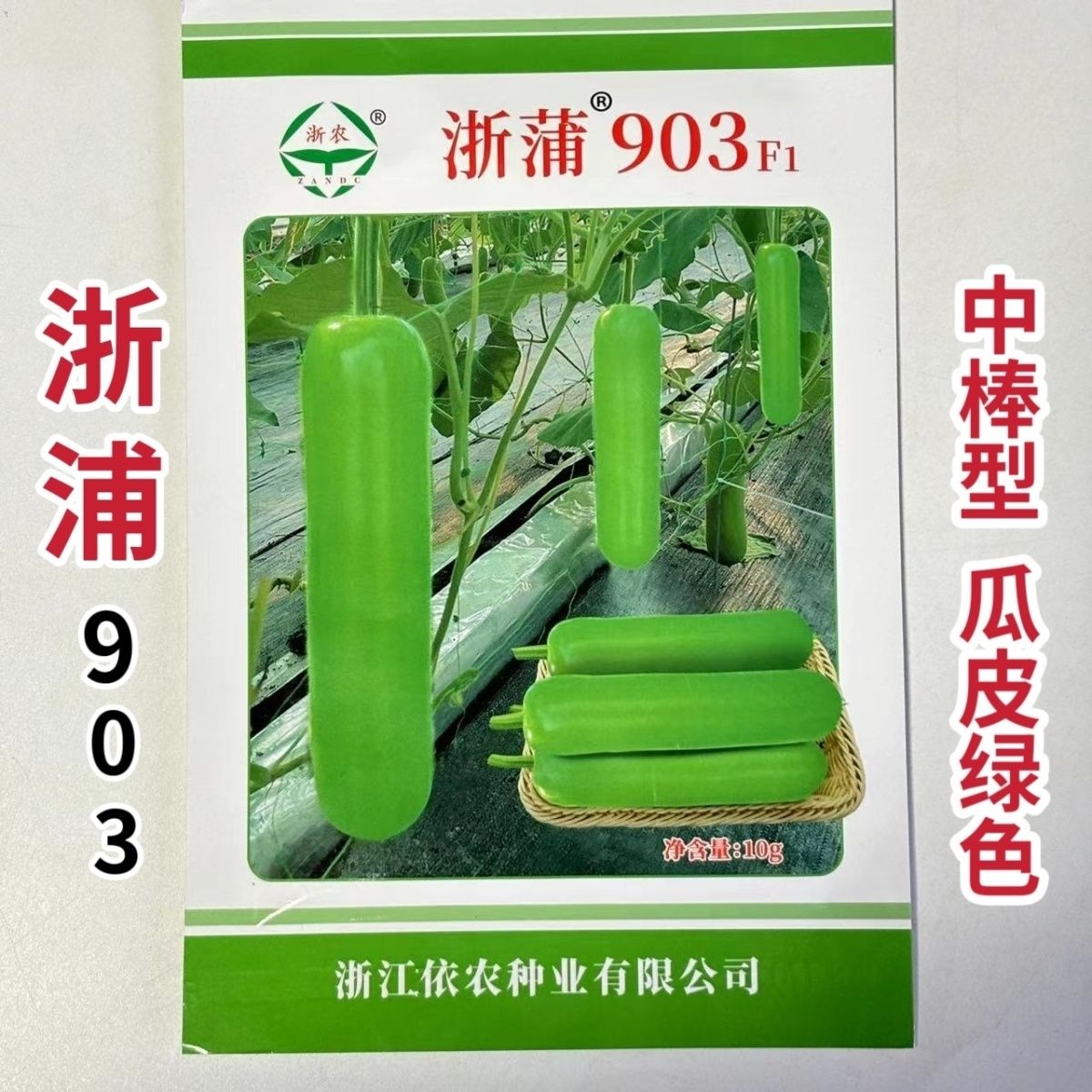浙蒲903蒲瓜种子杂交早熟耐低温中棒型蒲瓜种子春秋抗病高产种子