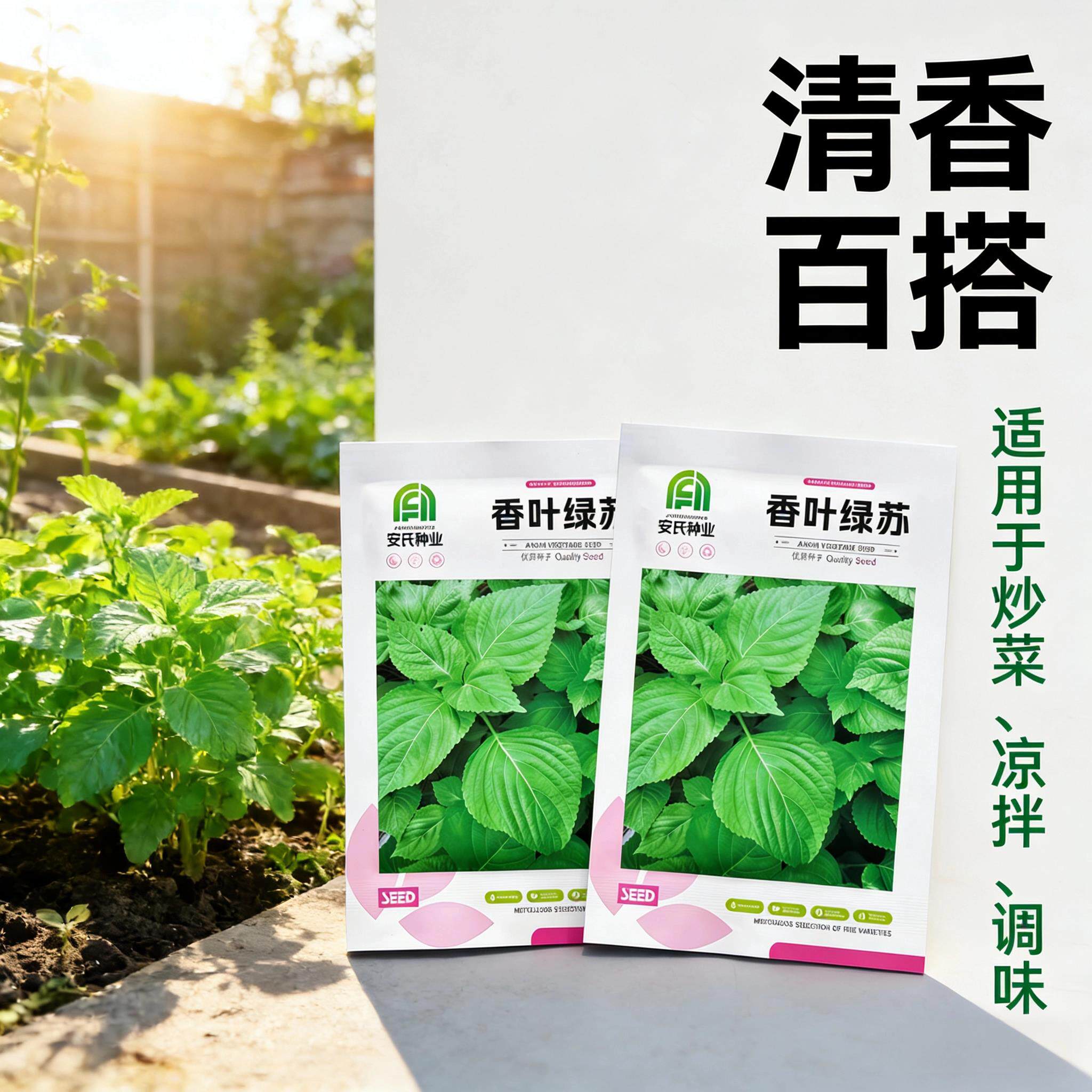 紫苏种子绿苏香草菜籽家庭盆栽四季阳台白苏桂荏赤苏种籽蔬菜种孑