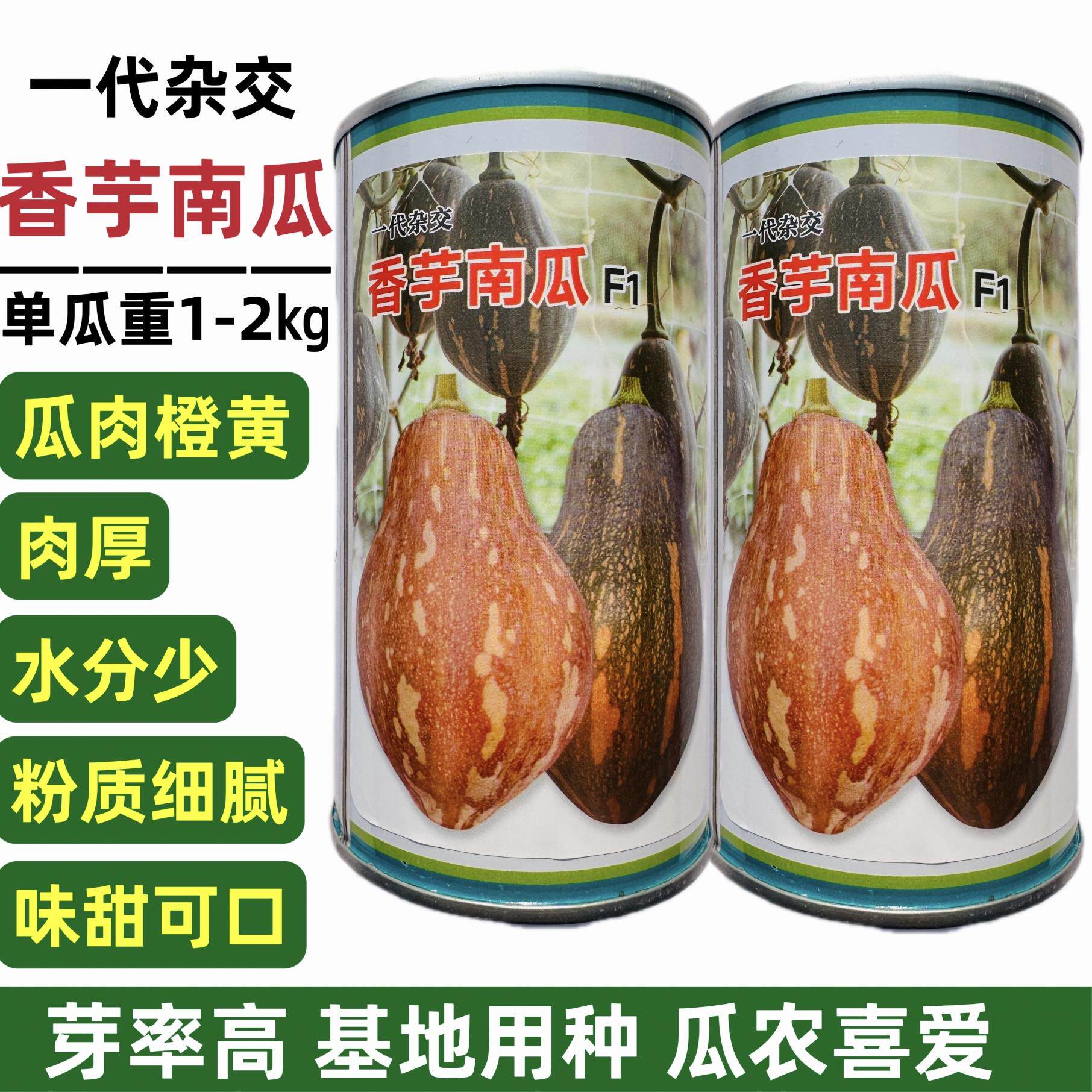 一代杂交香芋南瓜种子味甜肉厚有香芋味南瓜种籽软糯香甜基地专用