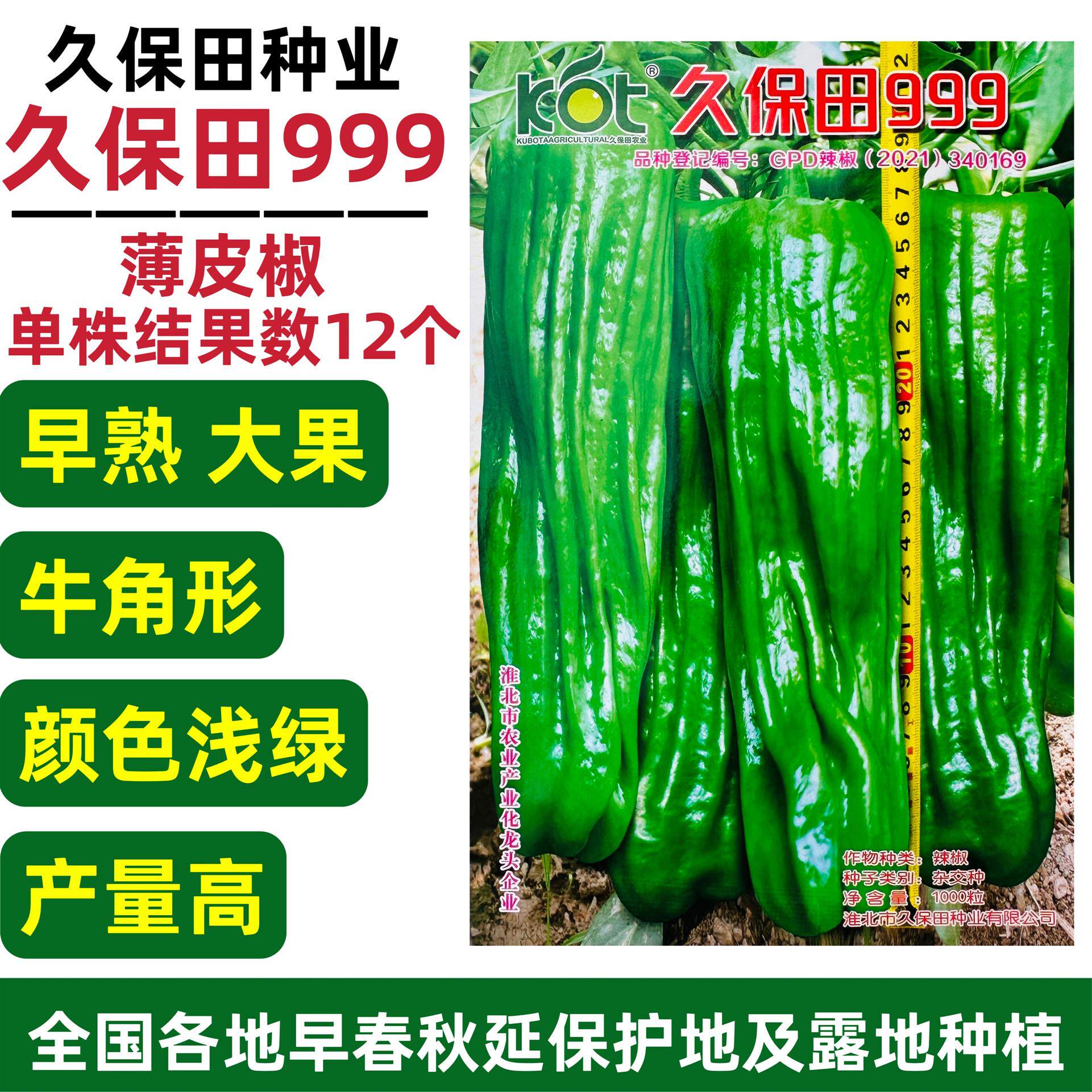 999辣椒种子早熟薄皮辣椒大果泡椒种子高产大青椒种籽耐热