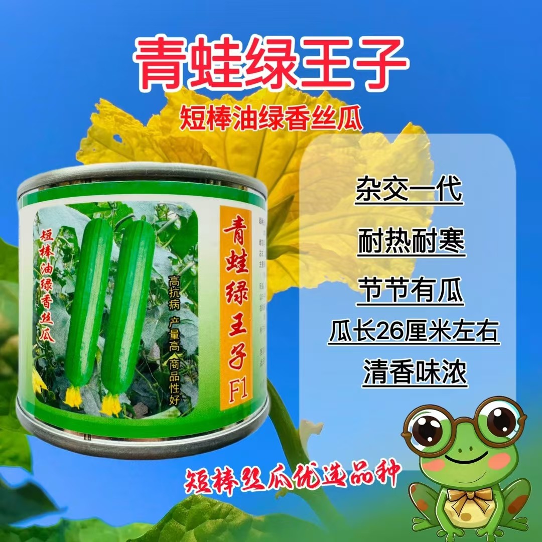 青蛙绿王子短油皮丝瓜种籽高产抗病春秋耐热盆栽油亮丝瓜种子