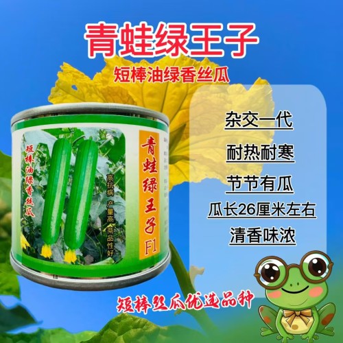 青蛙绿王子短油皮丝瓜种籽高产抗病春秋耐热盆栽油亮丝瓜种子