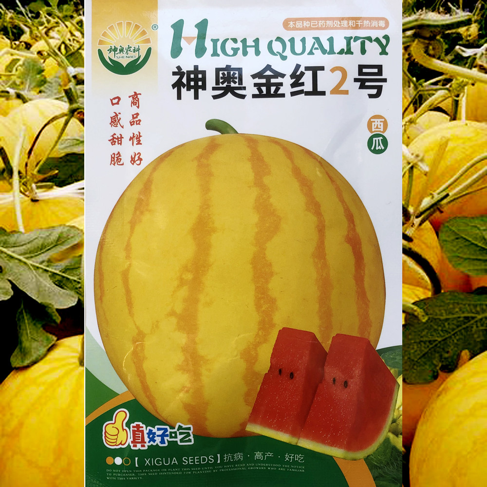 神奥金红2号西瓜皮薄脆甜耐裂