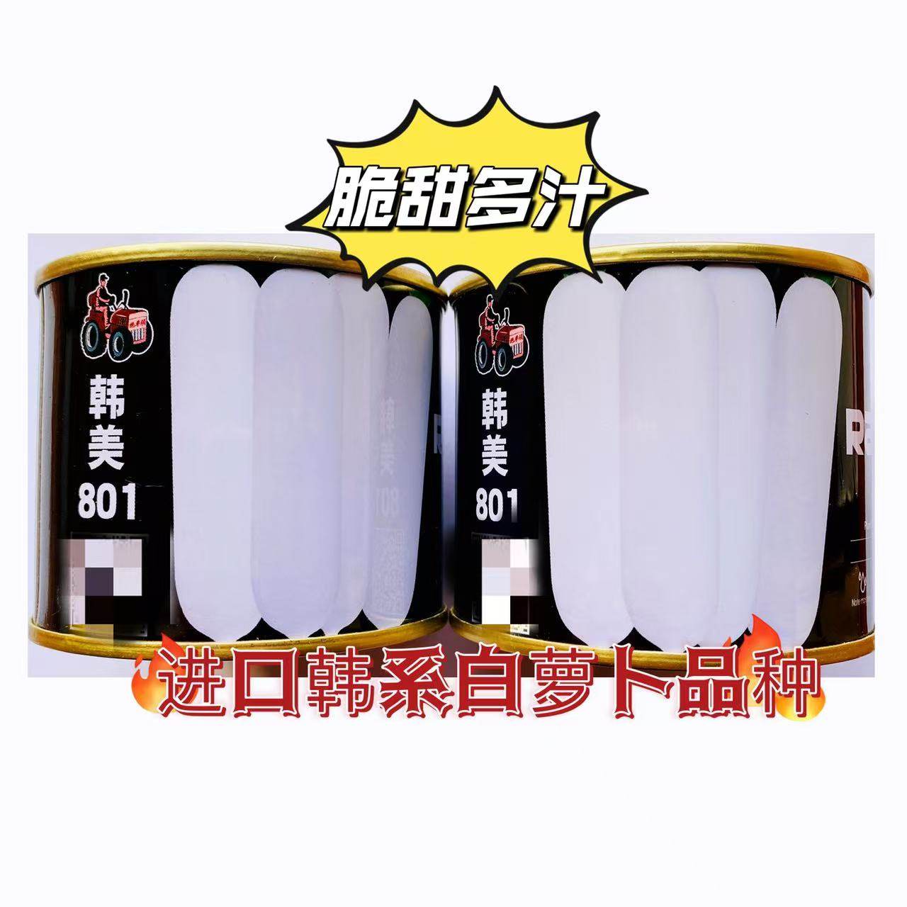 韩美801白萝卜种子高产秋季水果四季阳台盆栽韩国小蔬菜种籽孑