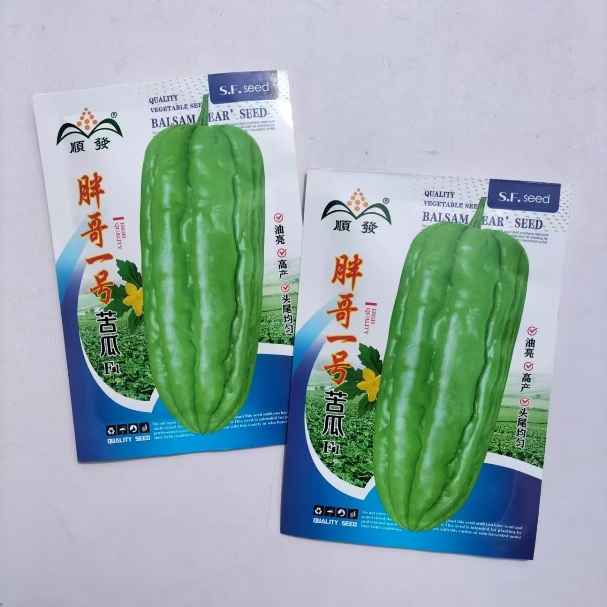 胖哥一号F1苦瓜种子中早熟杂交油绿厚肉苦瓜种子耐热耐湿春夏种植