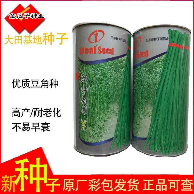 豇山美图豆角种孑豇豆种子翠绿色 特长豇豆种籽高产基地春夏秋季