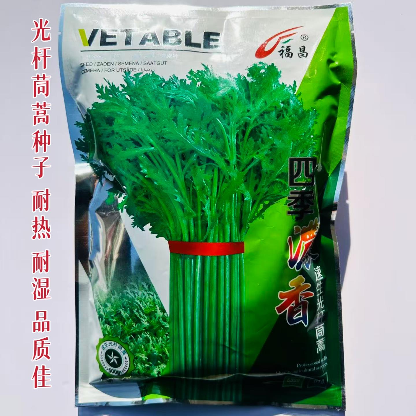 茼蒿种子四季浓香速生光杆茼蒿种籽农家春秋播耐热耐寒皇帝菜种子