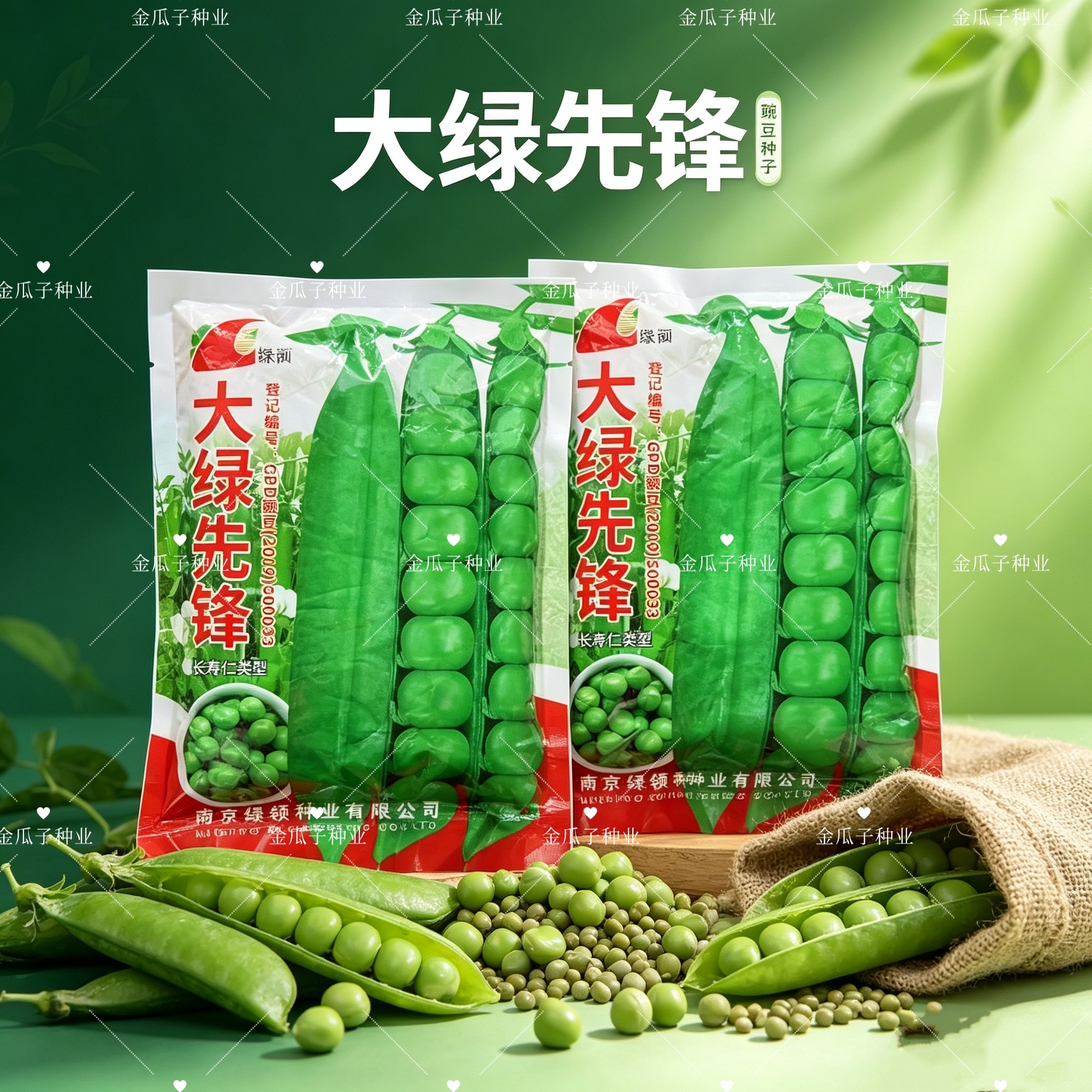 绿领大绿先锋长寿仁豌豆种籽高产抗病耐寒大荚甜豌豆种子秋冬蔬菜