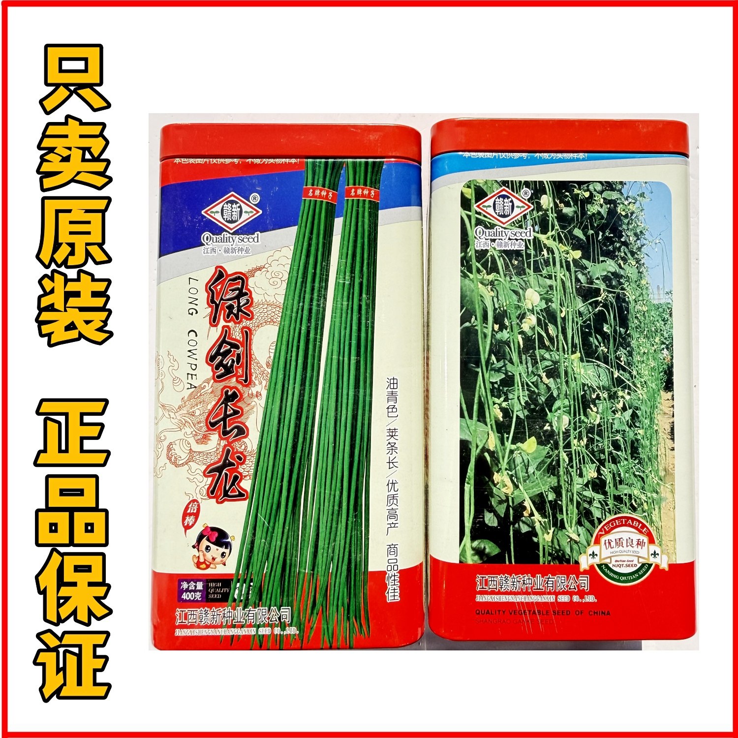 绿剑长龙长豆角种子春季大田高产豇豆青条早熟耐热纤维少好吃蔬菜