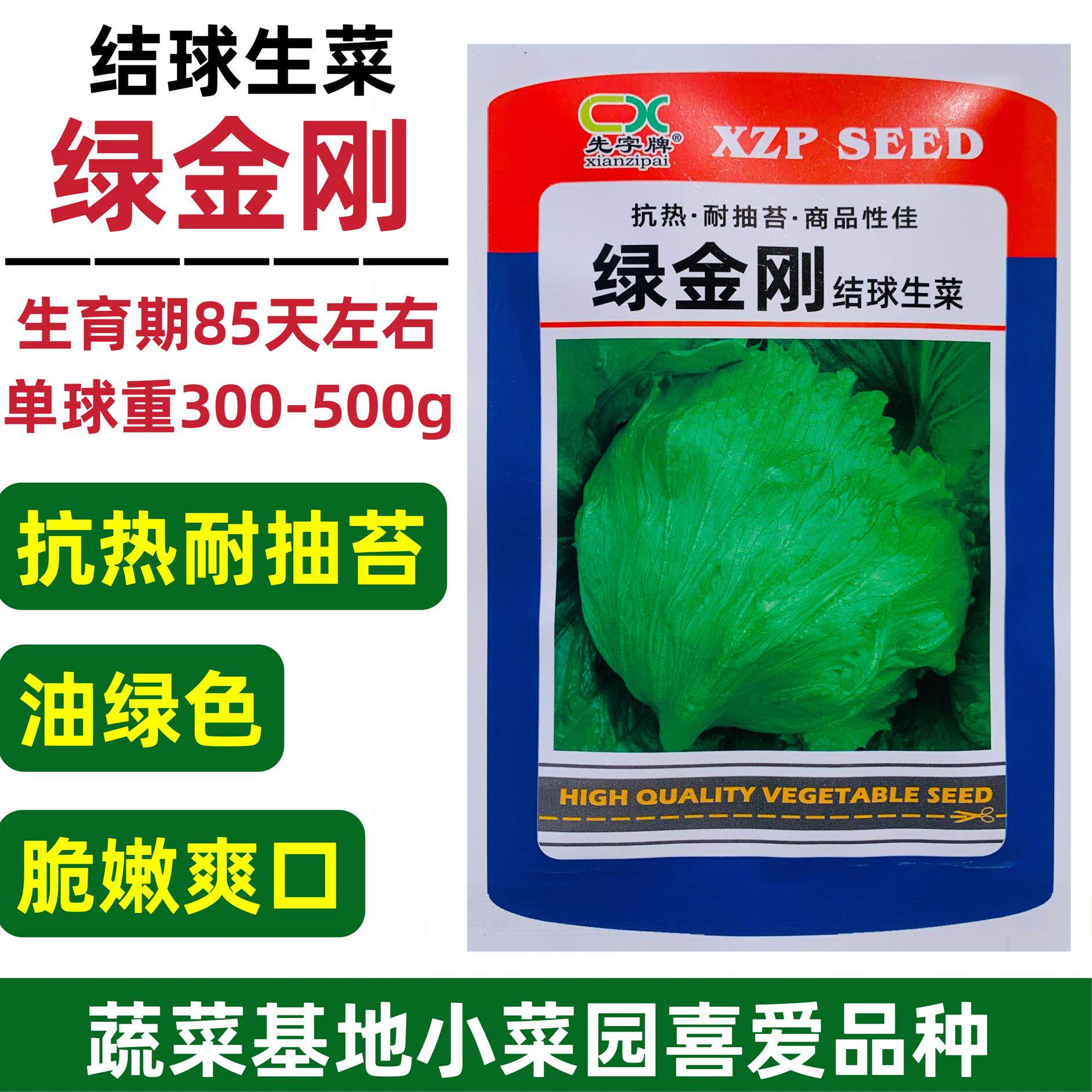 绿金刚结球生菜种子早熟耐热耐寒耐抽苔油绿包心生菜球生菜种籽