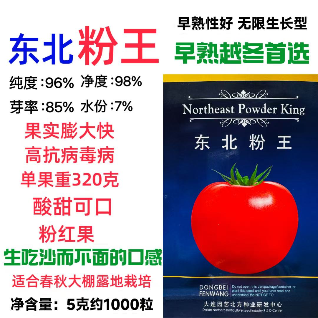 东北粉王番茄种子早熟耐寒无限生长不早衰西红柿种子农家春秋用种