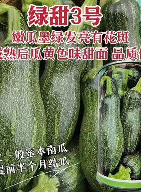 绿甜3号南瓜种子墨绿发亮有花斑