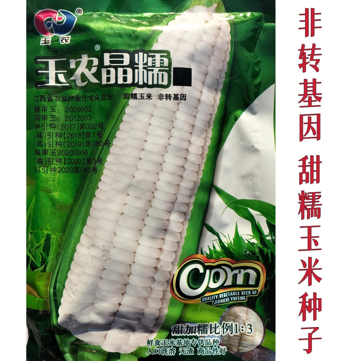 晶糯非转基因玉米种子春秋播甜糯玉米种籽无渣大棒鲜食玉米种