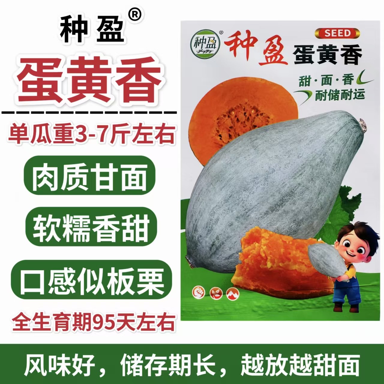 蛋黄香南瓜种子甜面香贵族南瓜四季种植板栗南瓜籽香甜软糯