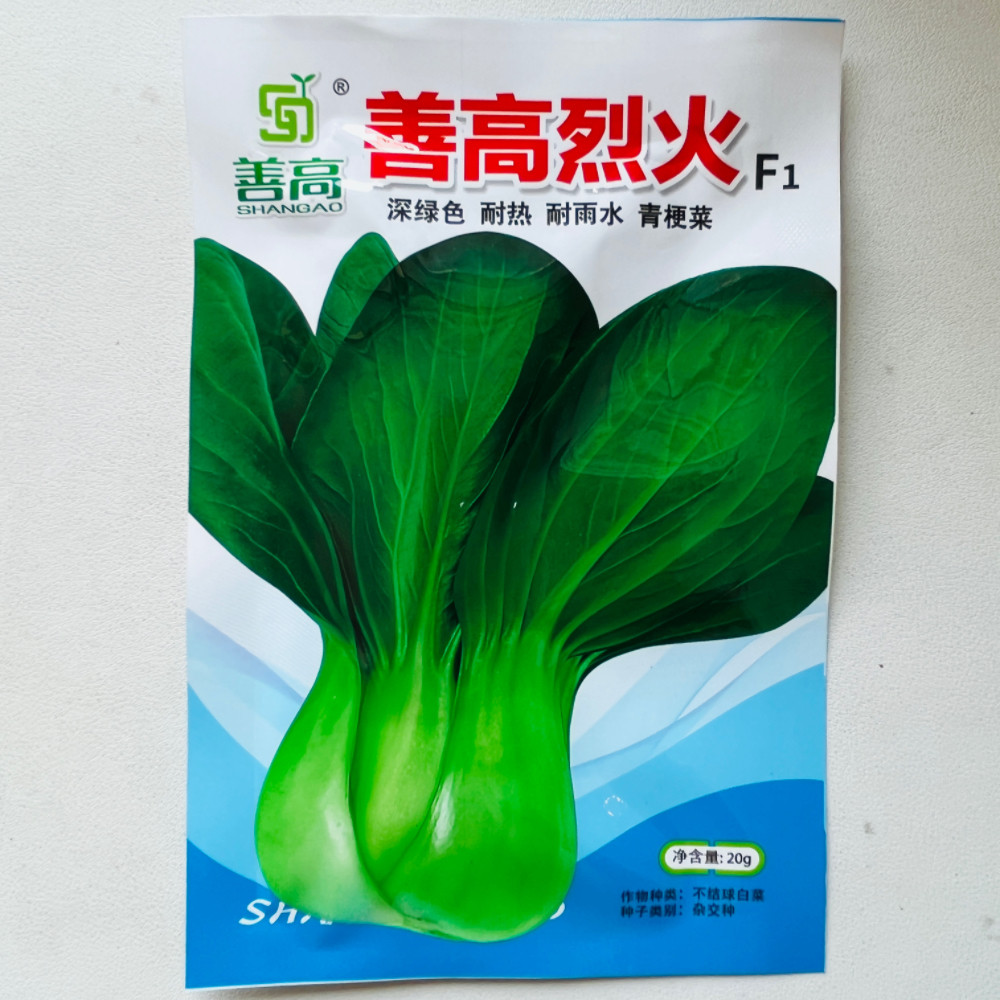 烈火青梗菜种子青梗小青菜种籽耐雨抗病强四季播种孑农家菜园
