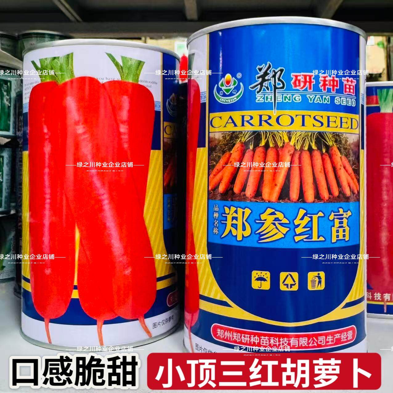 郑参红富小顶胡萝卜种子三红七寸胡萝卜种子脆甜可口秋季种籽