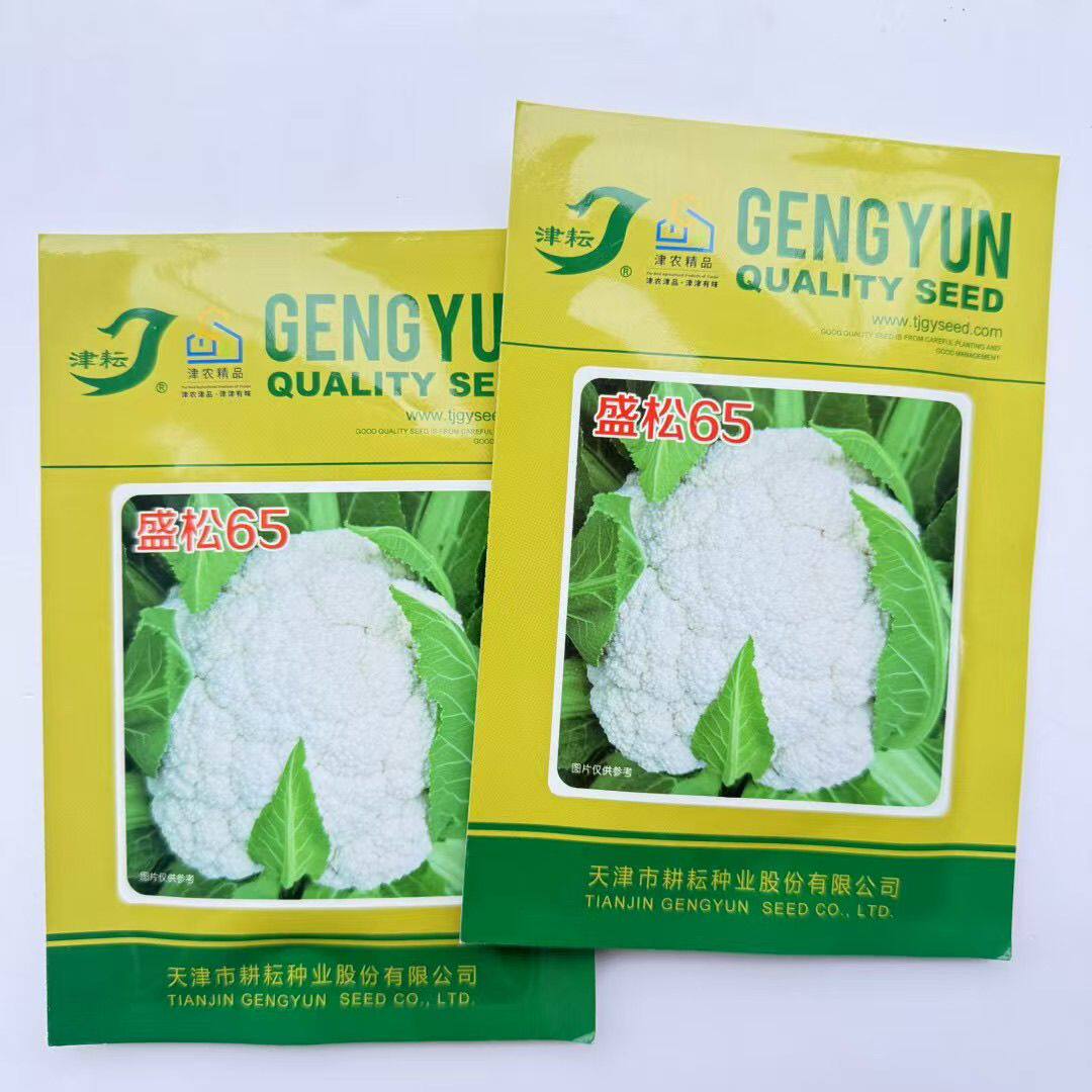 盛松65花椰菜种子抗病高产椰菜种籽松散型大头菜花菜种子蔬菜种子