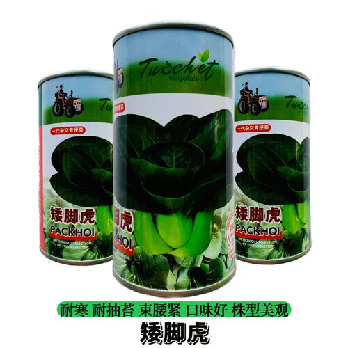 矮脚虎一代杂交青梗菜种子不易抽苔耐寒抗病基地专用青梗菜种籽子