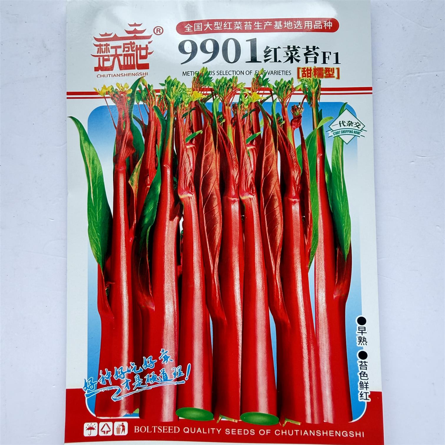 9901正宗武汉红菜苔种子洪山菜苔种子早熟秋冬高产耐寒抗病春秋播