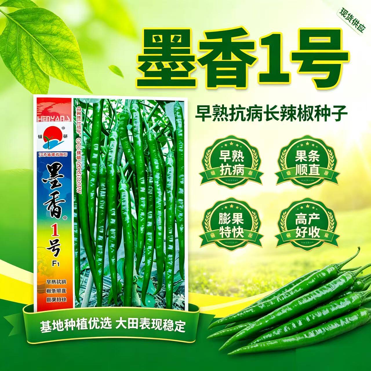 镇研墨香1号辣椒种子早熟高产抗病长线椒种籽味香辣坐果率高顺直