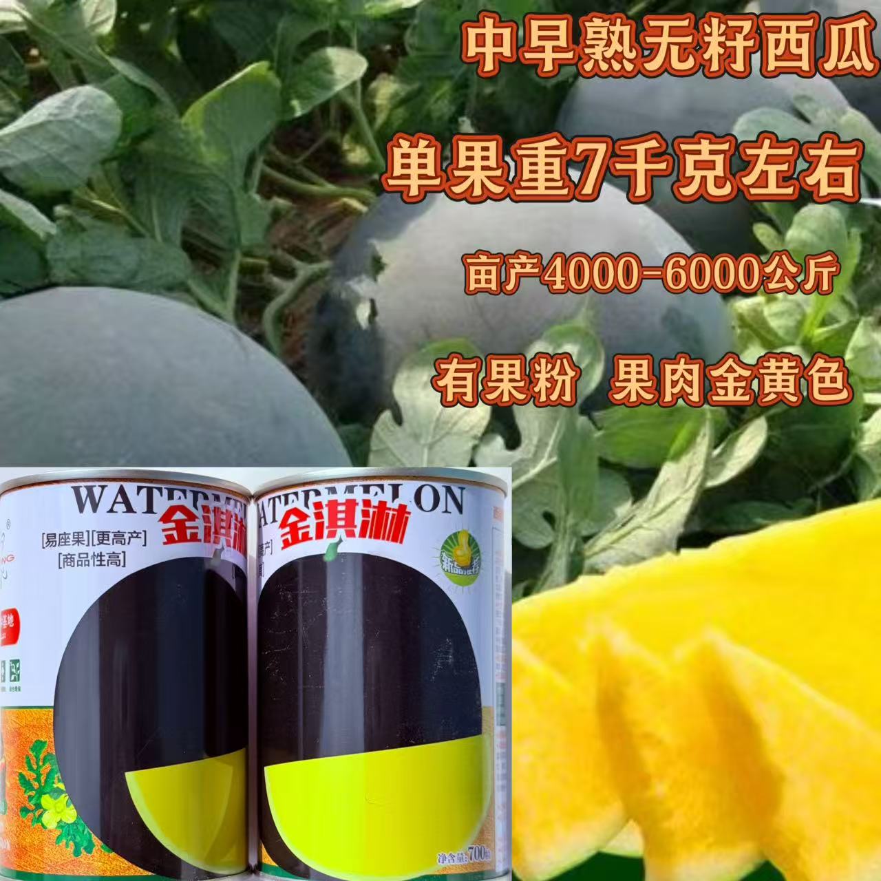 金淇淋无籽西瓜种子黑皮黄瓤无籽西瓜中早熟黑皮黄肉无籽西瓜种子
