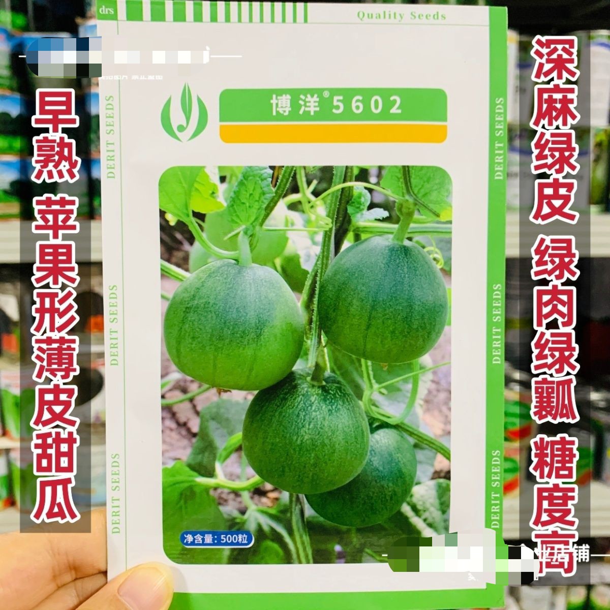 德瑞特博洋5602甜瓜种子薄皮早熟绿皮绿肉苹果形绿宝甜瓜种籽高糖