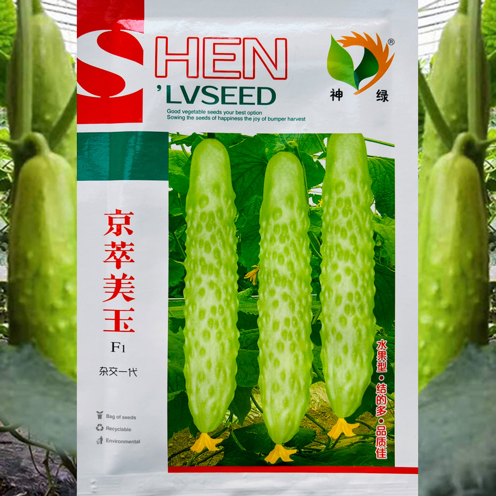 神绿京萃美玉黄瓜种子籽中早熟瓜皮浅白绿色口感清脆香浓抗病高产