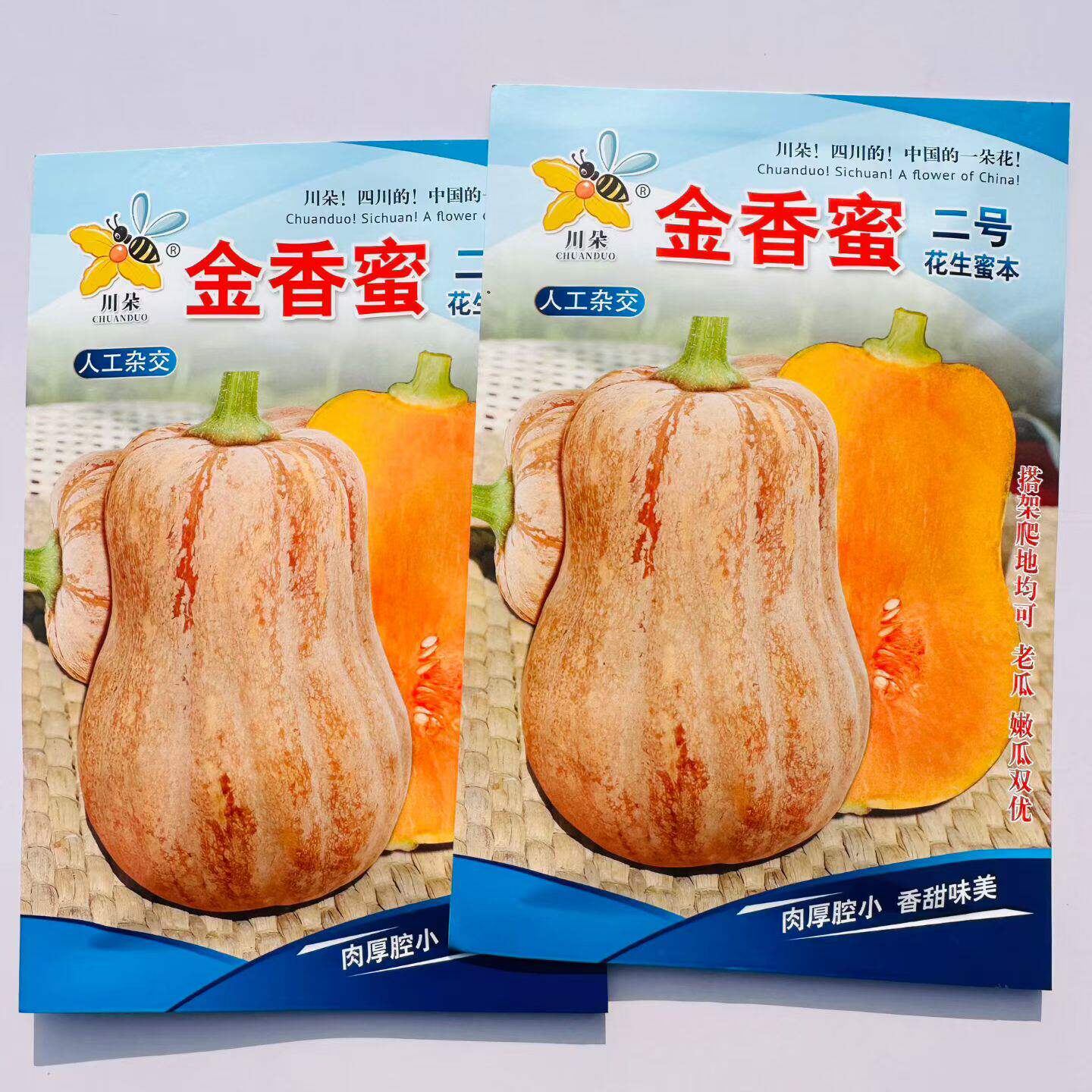 金香蜜二号南瓜种子中熟高产抗病耐裂小南瓜种籽南北方农家春季播