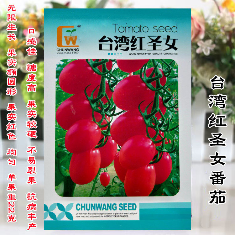 台湾红圣女小番茄种子无限生长型椭圆果樱桃小西红柿种籽较硬耐裂