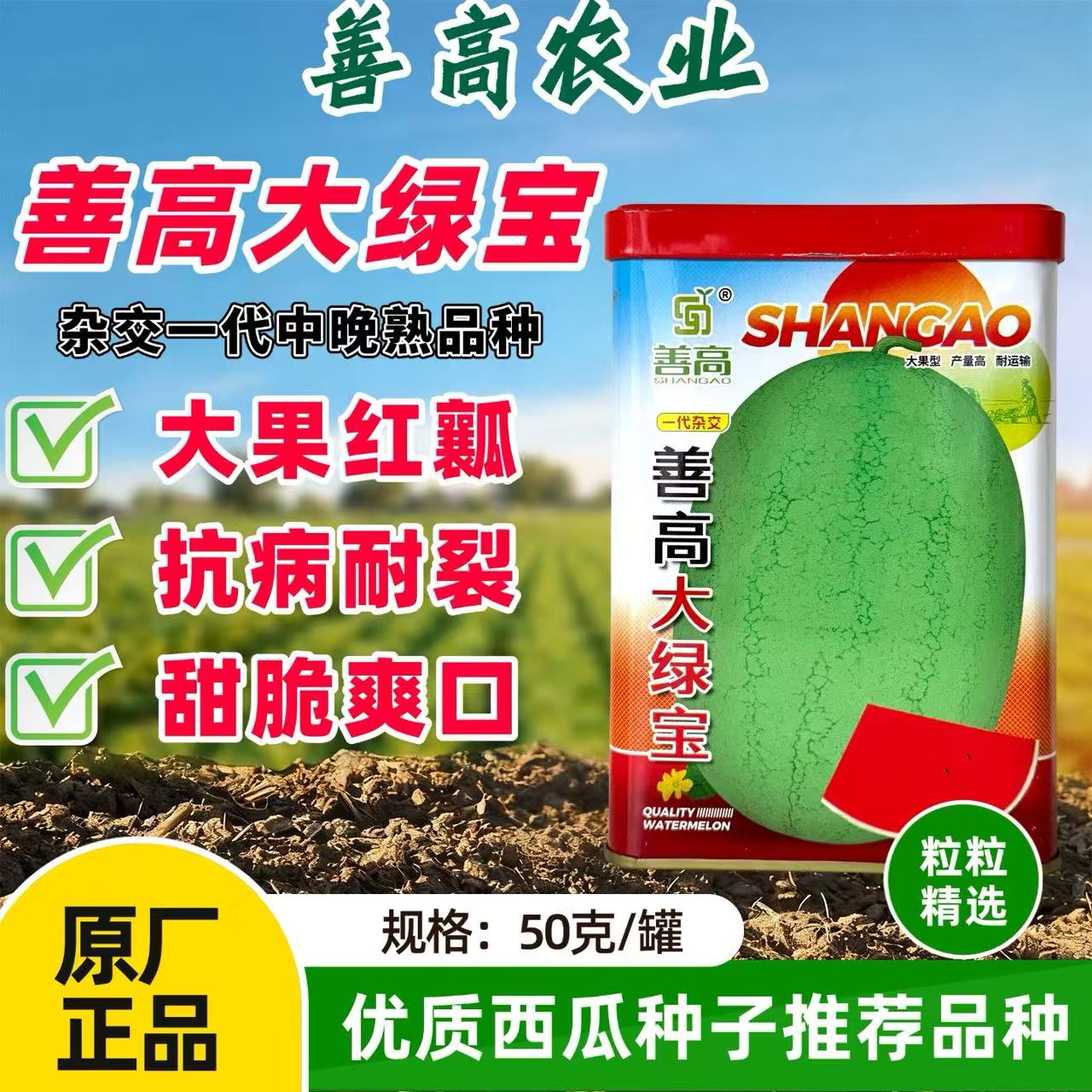 善高大绿宝西瓜种子椭圆型大果西瓜籽中熟耐裂特大红新宝西瓜种籽