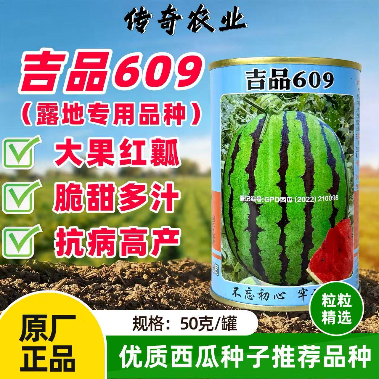 吉品609西瓜种子深绿皮大果型高圆大红瓤西瓜籽抗病强肉质脆露地
