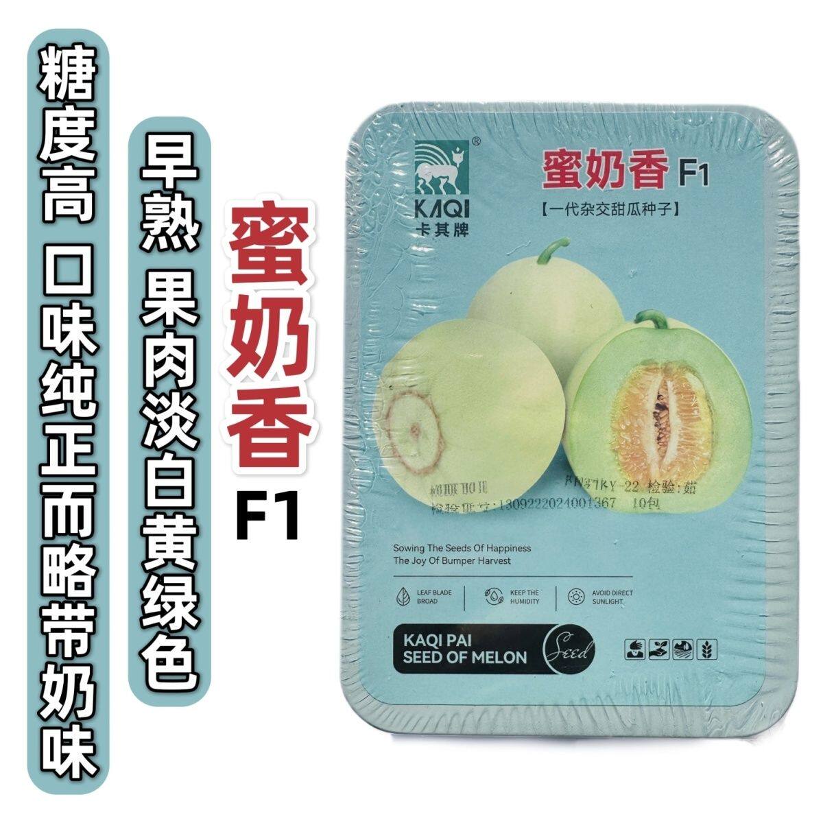 蜜奶香甜瓜种籽早熟糖度高水果种子脆嫩甜爽且略带奶香味甜瓜种子