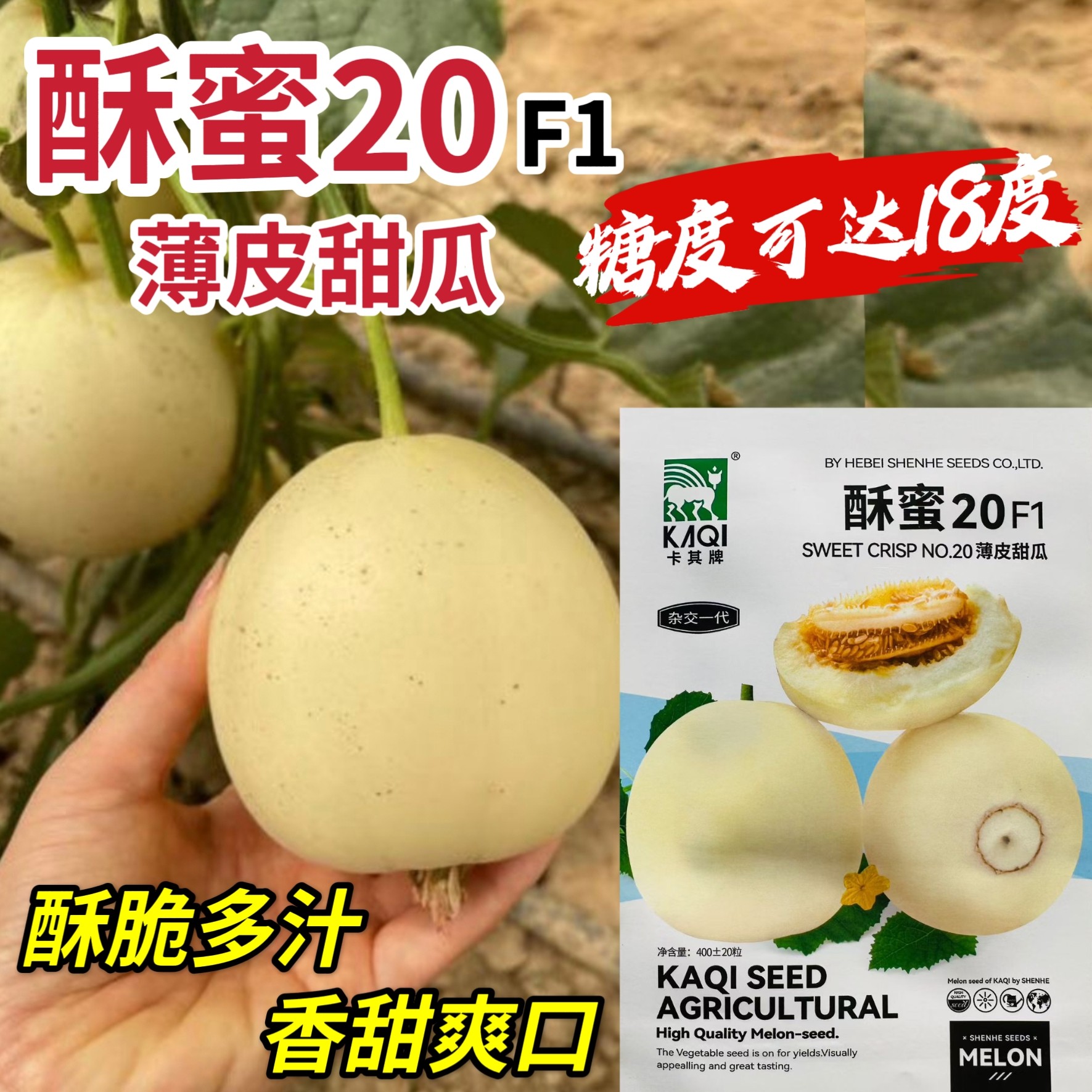酥蜜20早熟杂交薄皮甜瓜种子果肉洁白酥脆多汁香甜爽口春季播