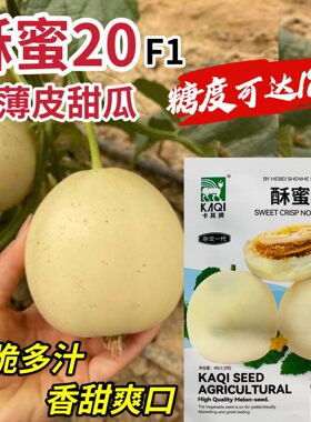 酥蜜20早熟杂交薄皮甜瓜种子果肉洁白酥脆多汁香甜爽口春季播