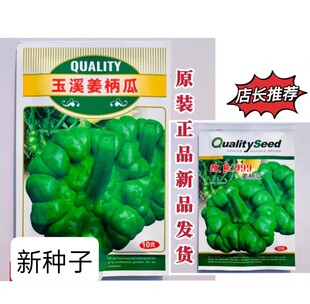 云南姜柄瓜种子蔓生扁圆形姜柄瓜种子爬藤嫩南瓜七叶瓜绿菜瓜种子