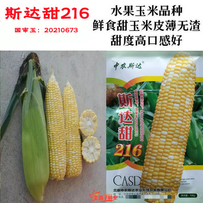 斯达甜216水果玉米皮薄大棒高产