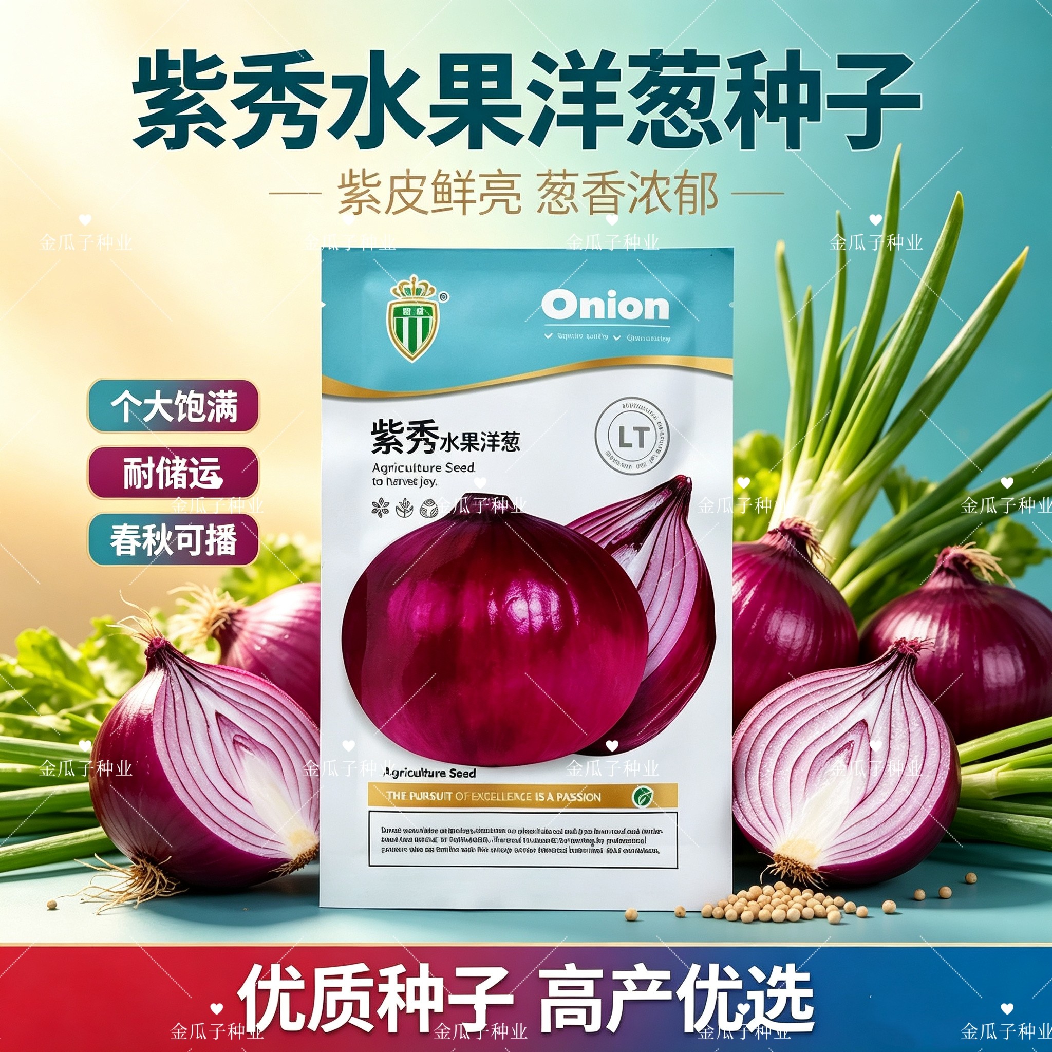 紫秀水果洋葱种子高产优质圆葱种籽农家四季蔬菜种孑春秋播洋葱种