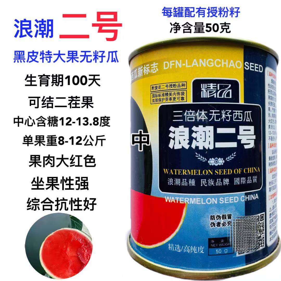 浪潮二号高产无籽西瓜种子黑皮红瓤甜大果型三倍体无子四季播春季